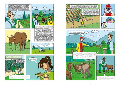 Aventurile Juliei şi ale lui Steven - eBook